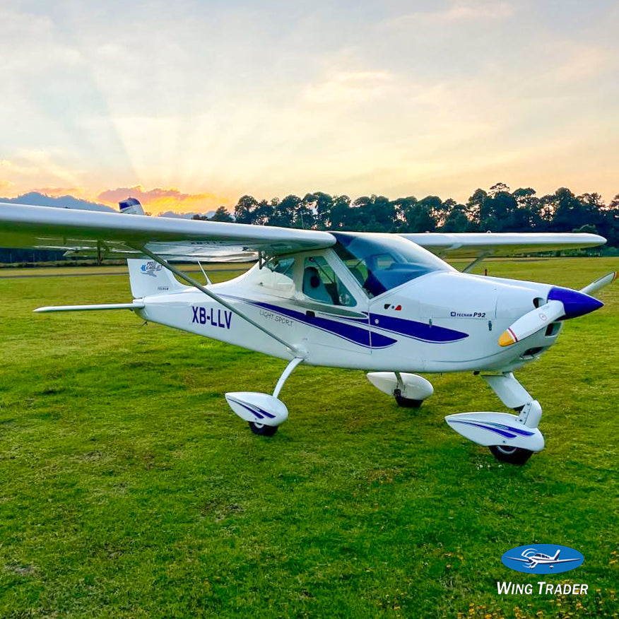 2009 TECNAM P92 EAGLET